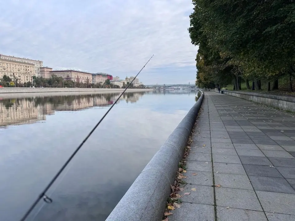 Москва река (Пушкинская наб.)