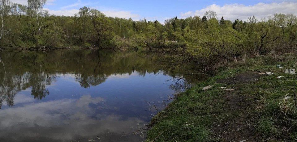 Яковлево река Плесенка, три пруда — фото 1