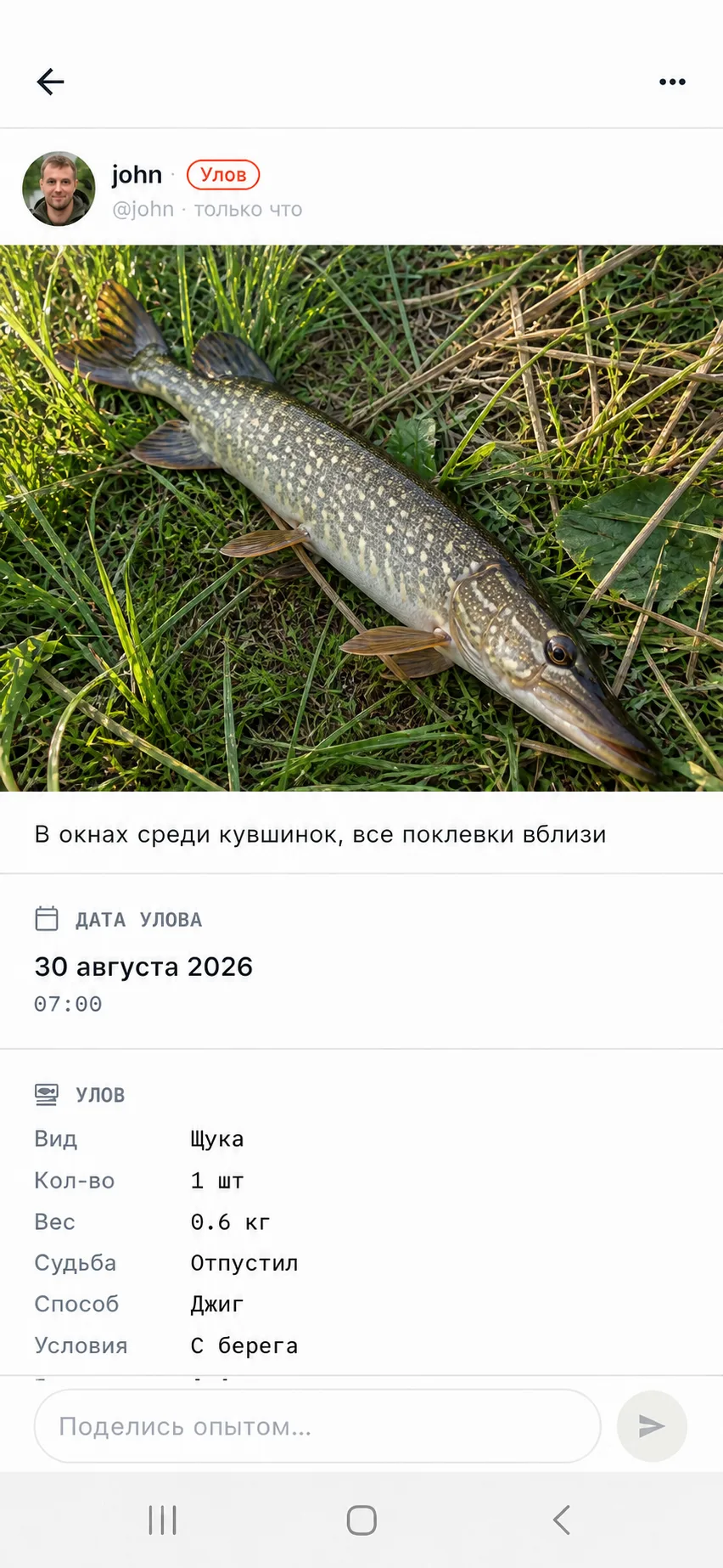 Карточка улова щуки в Anglers.zone